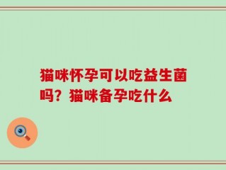 猫咪怀孕可以吃益生菌吗？猫咪备孕吃什么