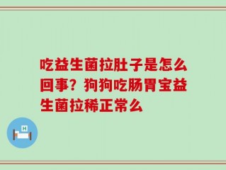 吃益生菌拉肚子是怎么回事？狗狗吃肠胃宝益生菌拉稀正常么