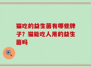 猫吃的益生菌有哪些牌子？猫能吃人用的益生菌吗