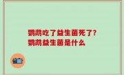 鹦鹉吃了益生菌死了？鹦鹉益生菌是什么