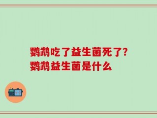 鹦鹉吃了益生菌死了？鹦鹉益生菌是什么