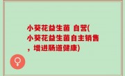小葵花益生菌 自营(小葵花益生菌自主销售，增进肠道健康)
