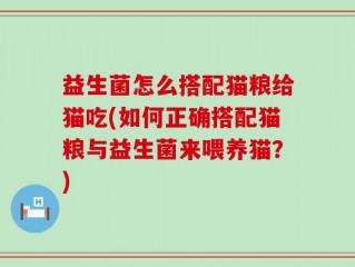 益生菌怎么搭配猫粮给猫吃(如何正确搭配猫粮与益生菌来喂养猫？)