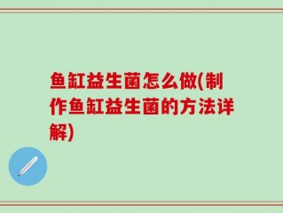 鱼缸益生菌怎么做(制作鱼缸益生菌的方法详解)