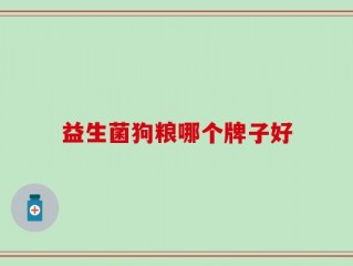 益生菌狗粮哪个牌子好