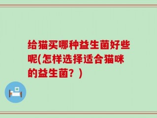 给猫买哪种益生菌好些呢(怎样选择适合猫咪的益生菌？)