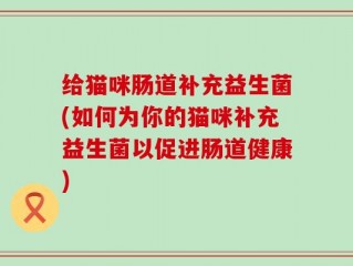 给猫咪肠道补充益生菌(如何为你的猫咪补充益生菌以促进肠道健康)