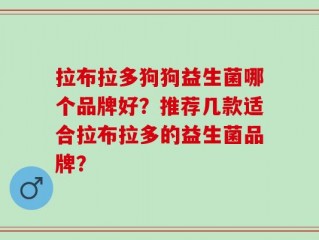 拉布拉多狗狗益生菌哪个品牌好？推荐几款适合拉布拉多的益生菌品牌？