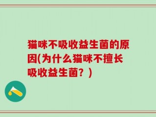 猫咪不吸收益生菌的原因(为什么猫咪不擅长吸收益生菌？)