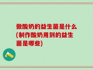 做酸奶的益生菌是什么(制作酸奶用到的益生菌是哪些)