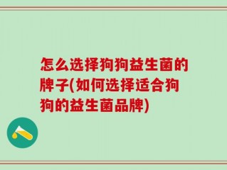 怎么选择狗狗益生菌的牌子(如何选择适合狗狗的益生菌品牌)
