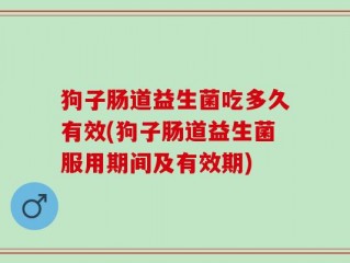 狗子肠道益生菌吃多久有效(狗子肠道益生菌服用期间及有效期)