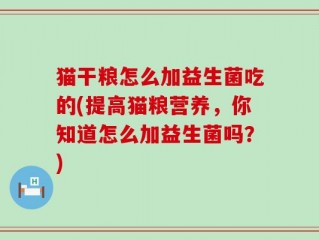 猫干粮怎么加益生菌吃的(提高猫粮营养，你知道怎么加益生菌吗？)