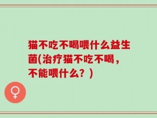 猫不吃不喝喂什么益生菌(治疗猫不吃不喝，不能喂什么？)
