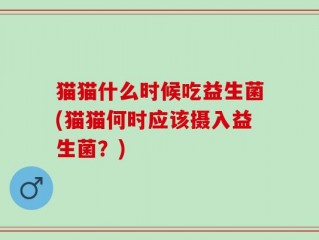 猫猫什么时候吃益生菌(猫猫何时应该摄入益生菌？)