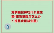 宠物猫拉稀吃什么益生菌(宠物猫腹泻怎么办？推荐食用益生菌)