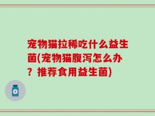 宠物猫拉稀吃什么益生菌(宠物猫腹泻怎么办？推荐食用益生菌)