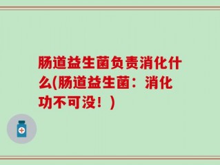 肠道益生菌负责消化什么(肠道益生菌：消化功不可没！)