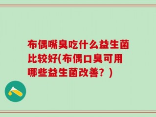 布偶嘴臭吃什么益生菌比较好(布偶口臭可用哪些益生菌改善？)
