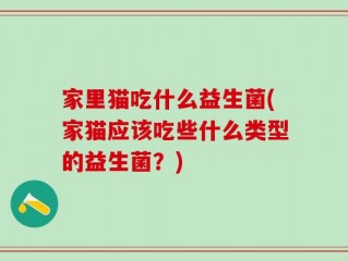 家里猫吃什么益生菌(家猫应该吃些什么类型的益生菌？)