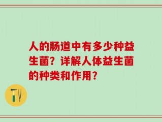 人的肠道中有多少种益生菌？详解人体益生菌的种类和作用？