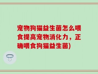 宠物狗猫益生菌怎么喂食提高宠物消化力，正确喂食狗猫益生菌)