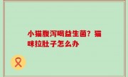 小猫腹泻喝益生菌？猫咪拉肚子怎么办