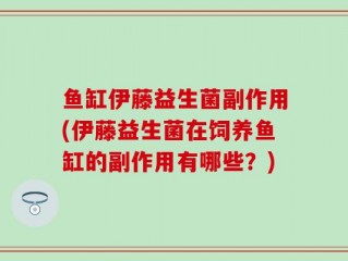 鱼缸伊藤益生菌副作用(伊藤益生菌在饲养鱼缸的副作用有哪些？)