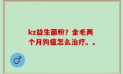 kz益生菌粉？金毛两个月狗瘟怎么治疗。。