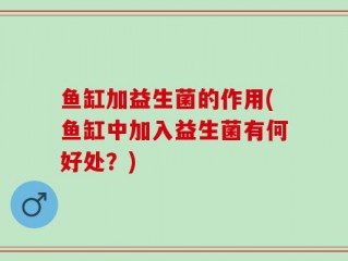 鱼缸加益生菌的作用(鱼缸中加入益生菌有何好处？)