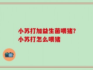 小苏打加益生菌喂猪？小苏打怎么喂猪