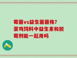 霉菌vs益生菌菌株？蛋鸡饲料中益生素和脱霉剂能一起用吗