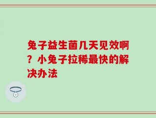 兔子益生菌几天见效啊？小兔子拉稀最快的解决办法