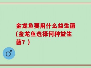 金龙鱼要用什么益生菌(金龙鱼选择何种益生菌？)