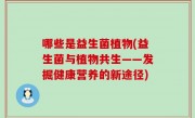 哪些是益生菌植物(益生菌与植物共生——发掘健康营养的新途径)