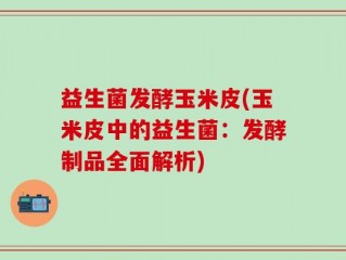 益生菌发酵玉米皮(玉米皮中的益生菌：发酵制品全面解析)