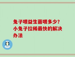 兔子喂益生菌喂多少？小兔子拉稀最快的解决办法