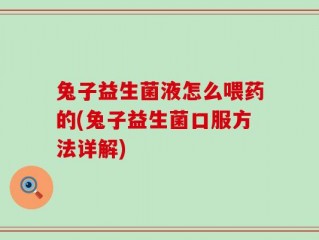 兔子益生菌液怎么喂药的(兔子益生菌口服方法详解)