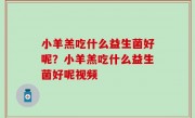小羊羔吃什么益生菌好呢？小羊羔吃什么益生菌好呢视频