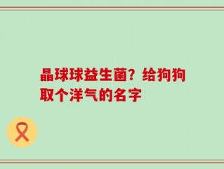 晶球球益生菌？给狗狗取个洋气的名字