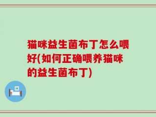 猫咪益生菌布丁怎么喂好(如何正确喂养猫咪的益生菌布丁)