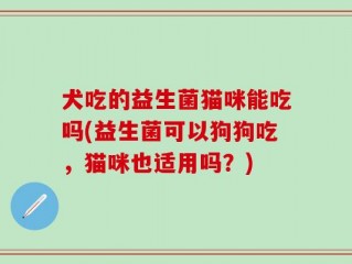 犬吃的益生菌猫咪能吃吗(益生菌可以狗狗吃，猫咪也适用吗？)