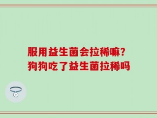服用益生菌会拉稀嘛？狗狗吃了益生菌拉稀吗