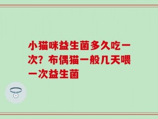 小猫咪益生菌多久吃一次？布偶猫一般几天喂一次益生菌