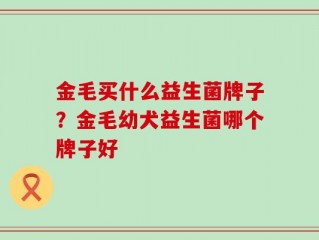 金毛买什么益生菌牌子？金毛幼犬益生菌哪个牌子好