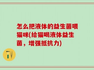 怎么把液体的益生菌喂猫咪(给猫喝液体益生菌，增强抵抗力)