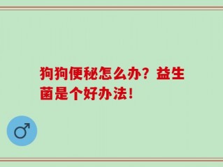 狗狗便秘怎么办？益生菌是个好办法！