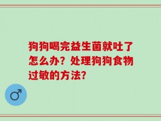 狗狗喝完益生菌就吐了怎么办？处理狗狗食物过敏的方法？