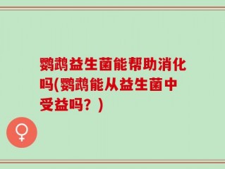 鹦鹉益生菌能帮助消化吗(鹦鹉能从益生菌中受益吗？)