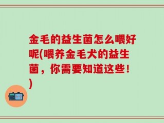金毛的益生菌怎么喂好呢(喂养金毛犬的益生菌，你需要知道这些！)